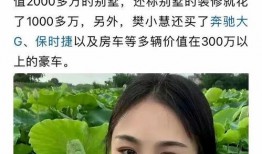 樊小慧最新爆料视频播放,揭秘背后惊人真相