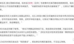 柯奂如最新爆料豆导,揭秘幕后故事与创作灵感